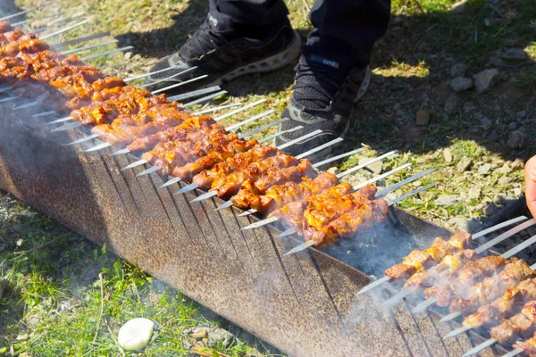 Shish Kebab Grillu — Zdjęcie stockowe