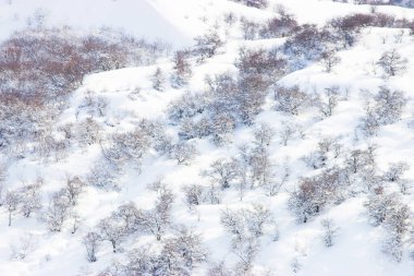 Vadi uçaktan bulanık görünüyor.