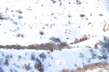 Vadi uçaktan bulanık görünüyor.