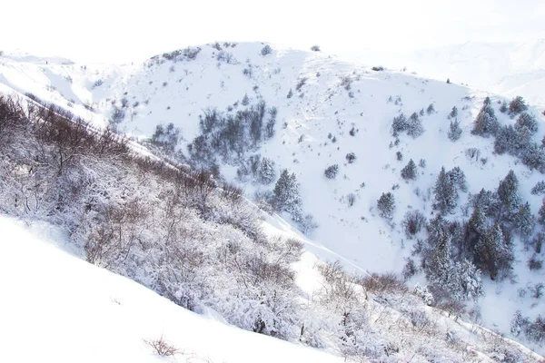 Valley Suddig Från Flygplanet — Stockfoto