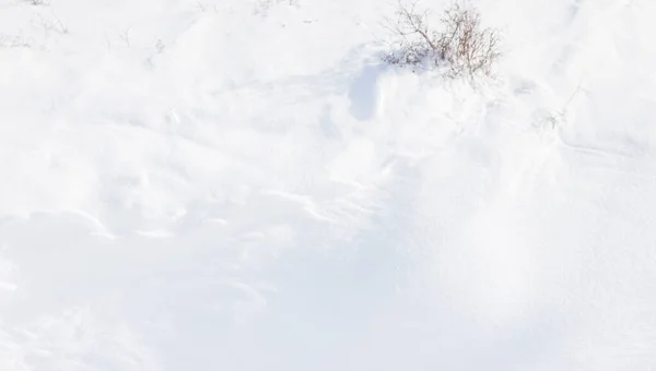 Снег Зимний Период — стоковое фото