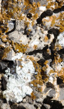 Taş dokusu arkaplanı, kapat