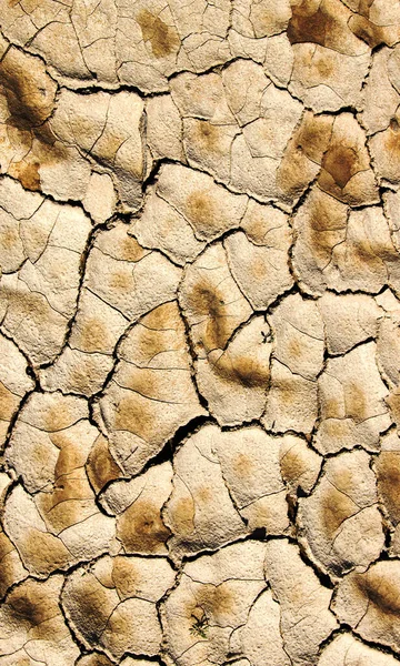 Lake Bed Drying Due Drought — Stock Photo, Image