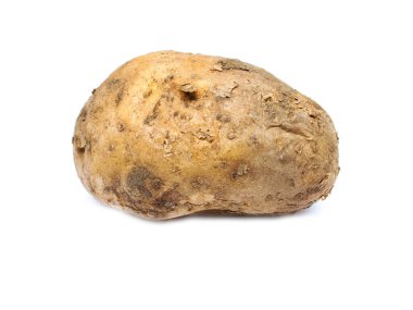 Beyaz arka planda izole edilmiş genç bir patates.