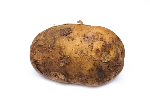 Один Молодой Картофель Изолирован Белом Фоне — стоковое фото