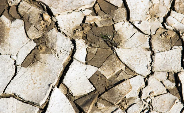 Lake Bed Drying Due Drought — Stock Photo, Image