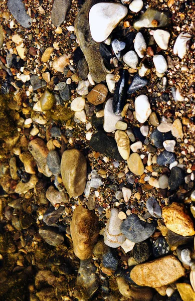 Sea Pebble Sea Stones Background — Stock Photo, Image