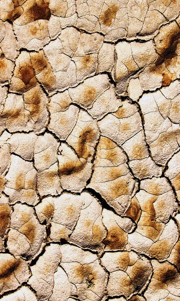 Lake Bed Drying Due Drought — Stock Photo, Image