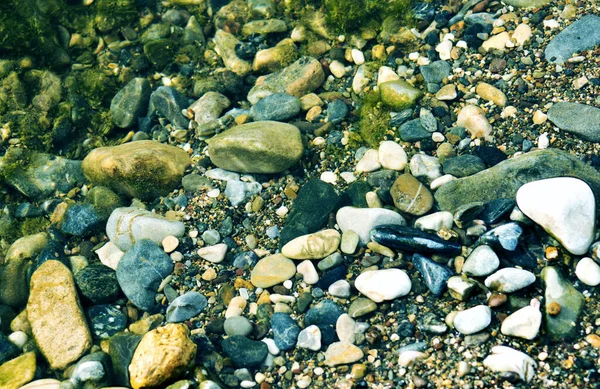 海卵石 海卵石背景 — 图库照片