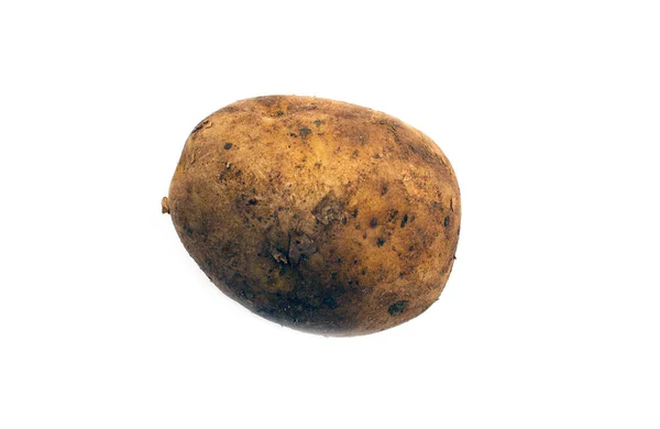 Beyaz Arka Planda Izole Edilmiş Genç Bir Patates — Stok fotoğraf