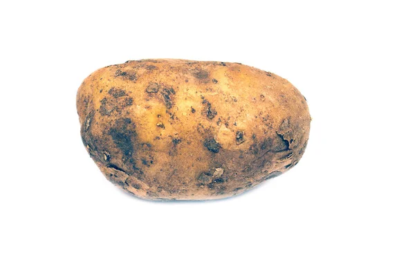 Один Молодой Картофель Изолирован Белом Фоне — стоковое фото