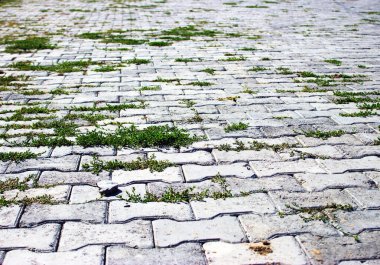 Yeşil çimenli asfalt arkaplan