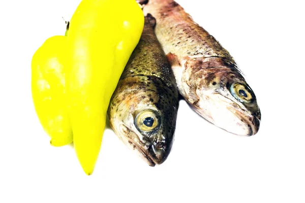 dried fish on white background