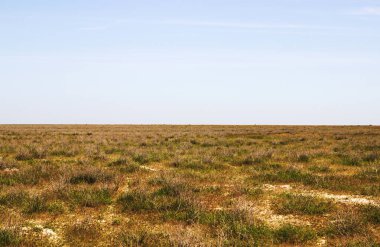 Alan Manzarası Görünümü