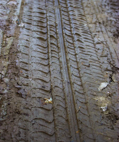 Traces Voiture Dans Boue — Photo