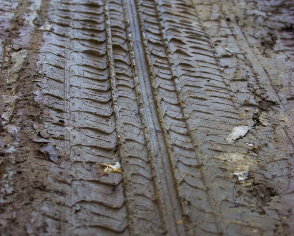 汽车在泥泞中的痕迹 — 图库照片