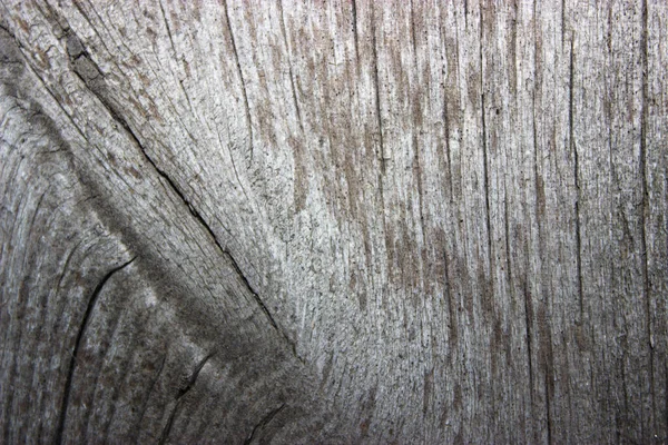 木の表面の質感背景 — ストック写真