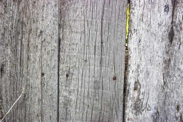 Background Brown Old Natural Wood Planks Dark Aged Empty Rural — Stock Photo, Image