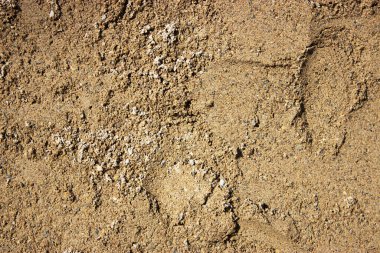 Kum arkaplan dokusu, üst görünüm