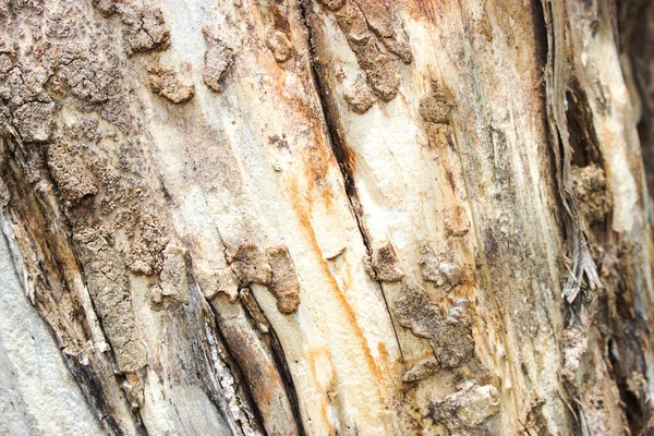 Tekstura Drewnianej Powierzchni Tło — Zdjęcie stockowe