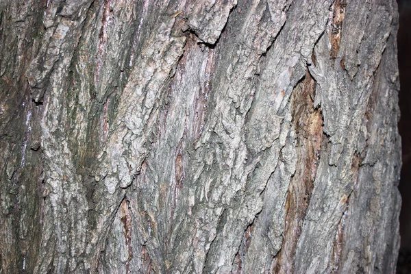 Tekstura Drewnianej Powierzchni Tło — Zdjęcie stockowe