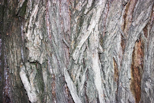 Textur Einer Holzoberfläche Hintergrund — Stockfoto