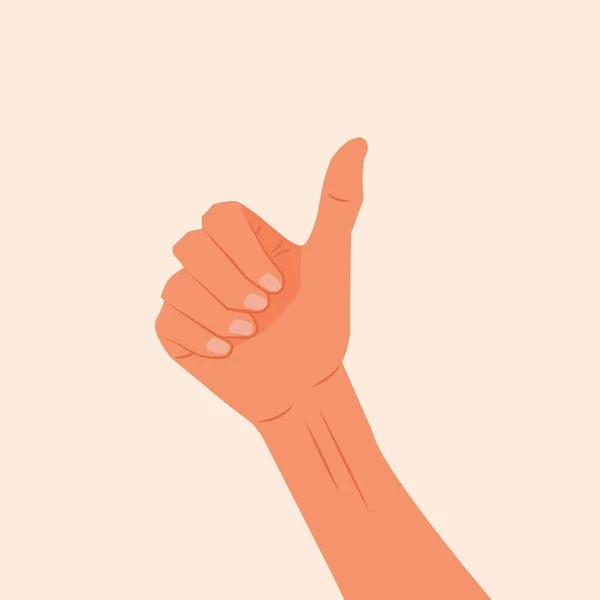 Hand Toont Goed Goed Gesture Thumb Vector Illustratie Realistische Duim — Stockvector