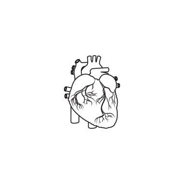 Modern Minimalist İnsan Kalbi Çizgisi Simge Vektörü. İnsan anatomisi, tıbbi ya da sağlık hizmetleri konsepti için basit kalp taslağı. Kalp Anatomisi sembolü beyaz arkaplanda izole.