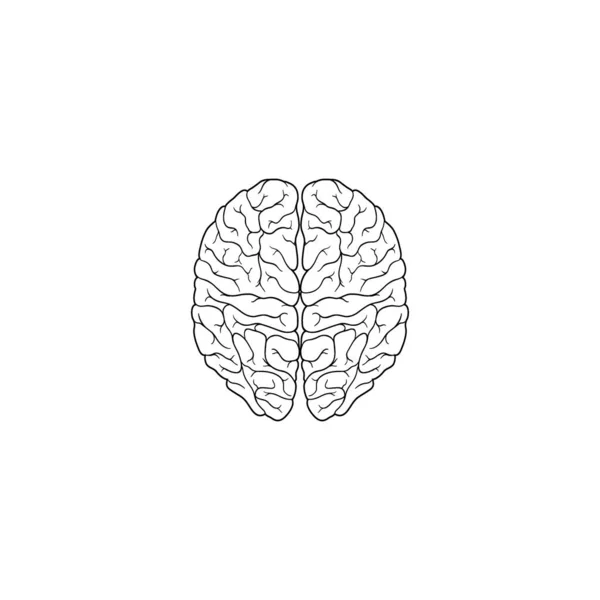 現代のミニマル ヒューマン ブレイン ライン アイコン ベクトル 人間の輪郭アイコンの単純な脳 トップ表示脳のシンボルは白地に隔離 — ストックベクタ
