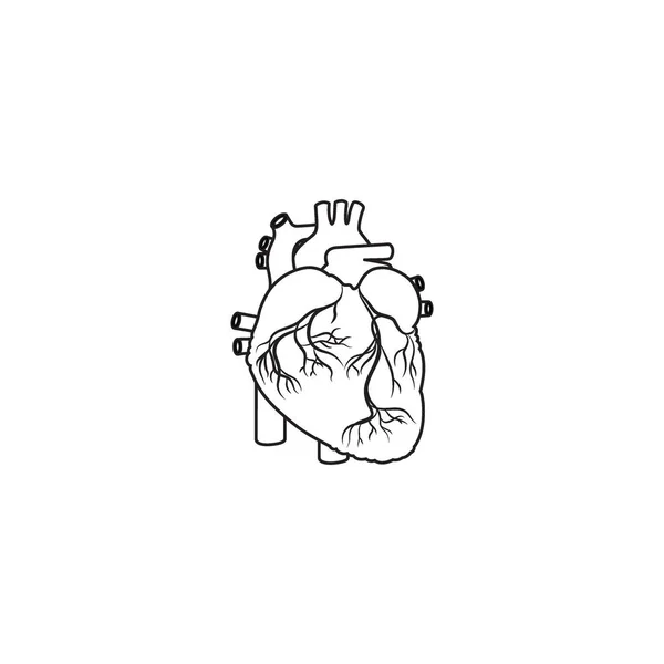 Modern Minimalist Human Heart Line Icon Vector Signe Contour Cardiaque — Image vectorielle