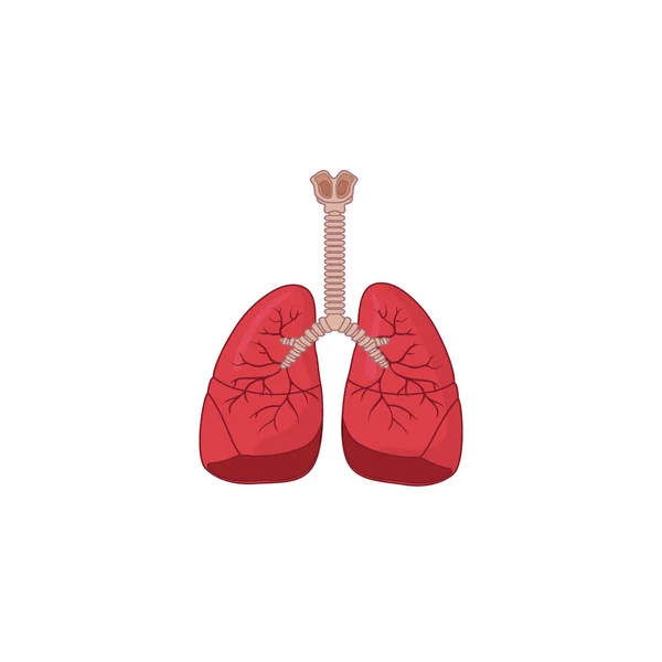 Människans Andningssystem Ikonvektor Illustration Isolerad Vit Bakgrund Andas Bronker Bronkiol — Stock vektor