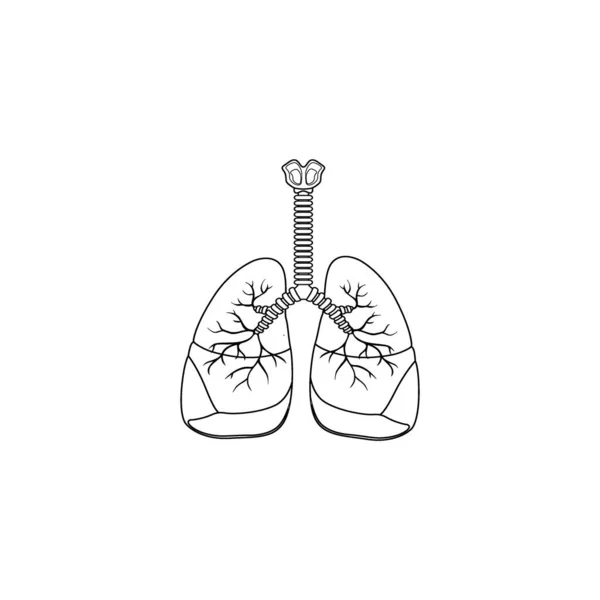 Human Respiratory System Line Icon Vector Geïsoleerd Witte Achtergrond Adem — Stockvector