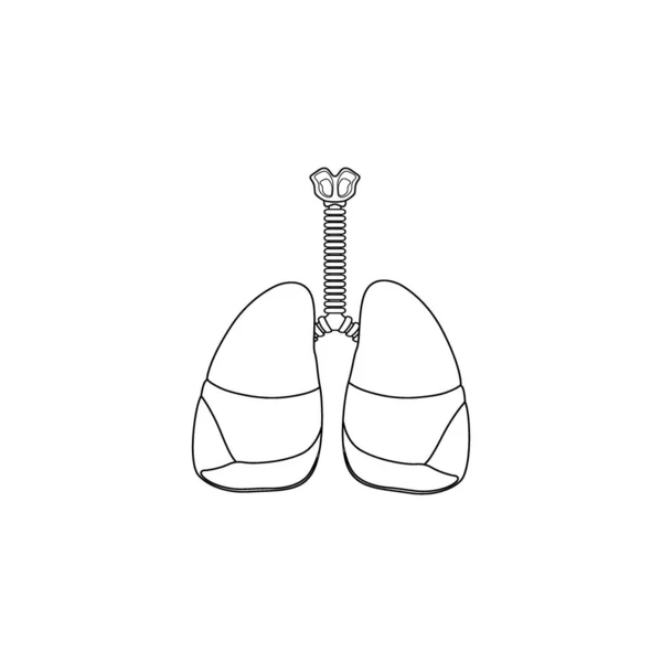 Human Respiratory System Line Icon Vector Isoliert Auf Weißem Hintergrund — Stockvektor