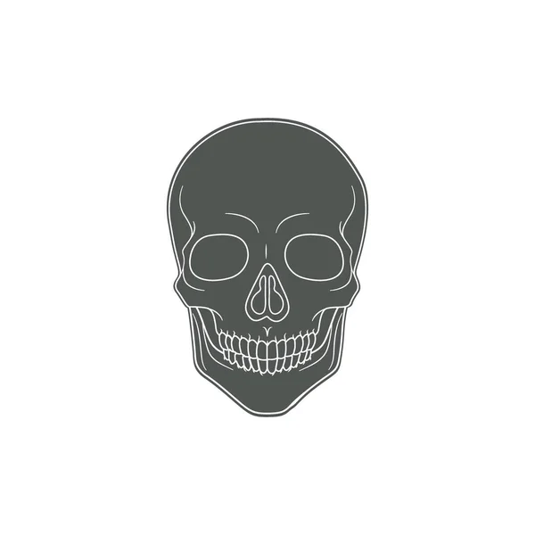 Ilustração Vetor Ícone Crânio Humano Minimalista Moderno Esqueleto Simples Ícone — Vetor de Stock