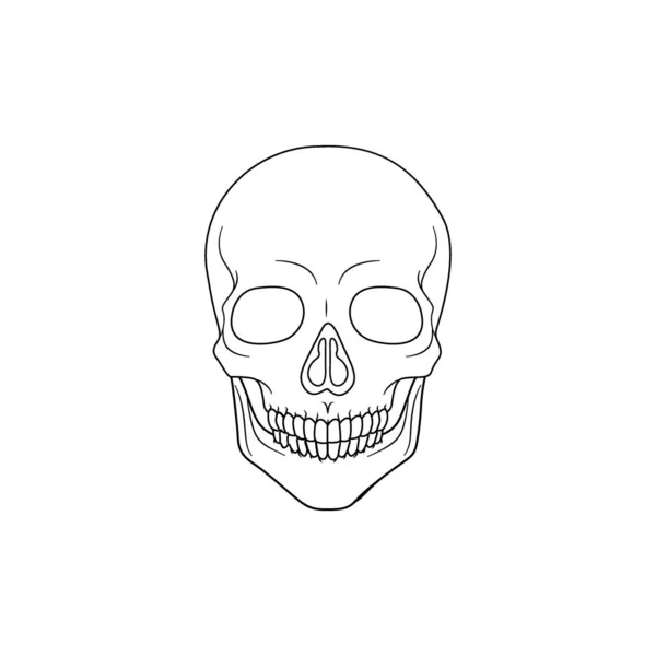 Modern Minimalist Human Skull Line Icon Ilustração Vetorial Esqueleto Simples — Vetor de Stock