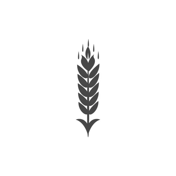 Minimalistic Wheat Icon Simple Barley Weat Rice Logo Vector Illustration — Stock Vector