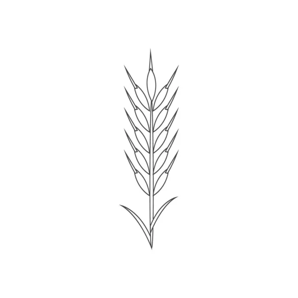 Minimalistisk Vetelinje Ikon Enkelt Korn Svett Ris Skissera Logotyp Vektor — Stock vektor