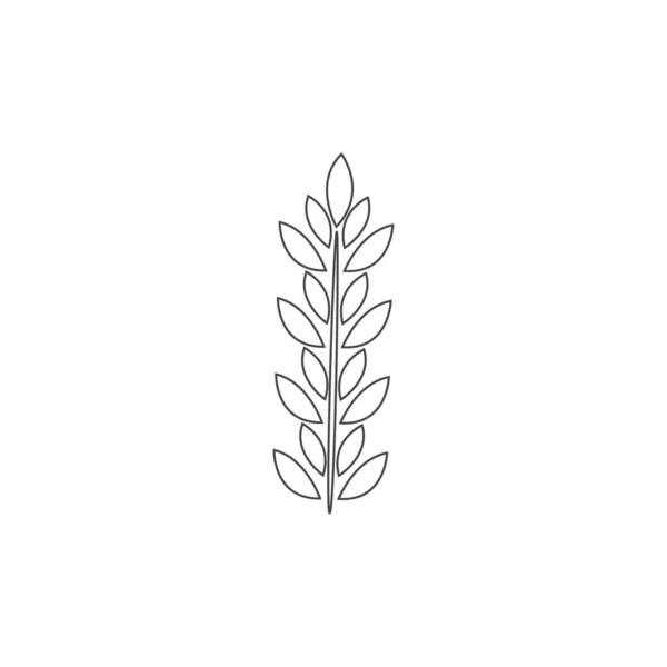 简约的麦线图标 简单的大麦 米的轮廓标识矢量图解 在白色背景上分离的线型小麦 农场和面包店标志 — 图库矢量图片