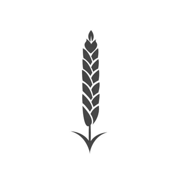 Minimalist Buğday Ikonu Basit Arpa Weat Pirinç Logosu Çizimi Buğday — Stok Vektör