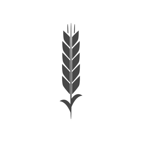Minimalistisch Tarwepictogram Eenvoudige Gerst Weat Rijst Logo Vector Illustratie Tarwevector — Stockvector