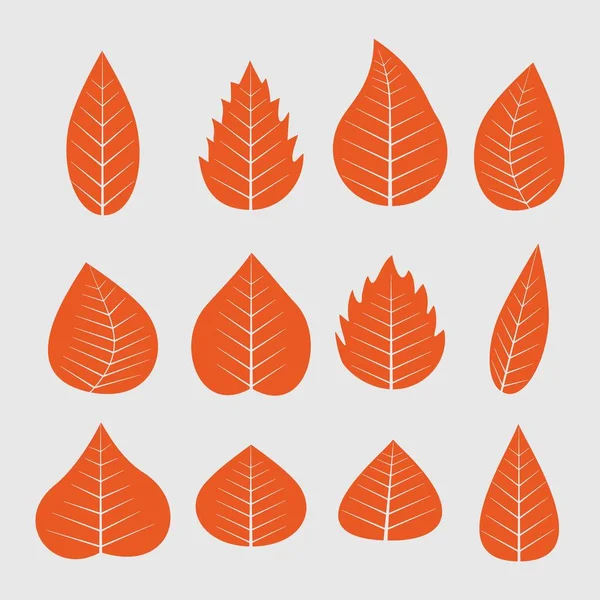 Herbstblätter Vektorset Verschiedene Orangefarbene Blätter Sammeln Flache Vektorillustration Rote Blätter — Stockvektor