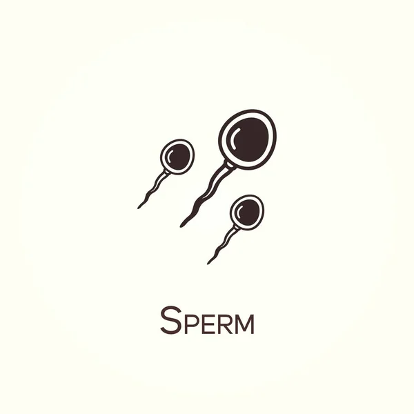 Minimalist Insan Sperm Hücresi Sperm Vektör Çizgisi Simgesi Basit Element — Stok Vektör
