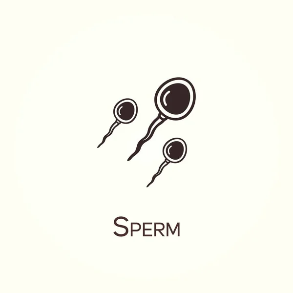 Minimalist insan sperm hücresi. Sperm vektör çizgisi simgesi. Basit element çizimi. Sperm simgesi