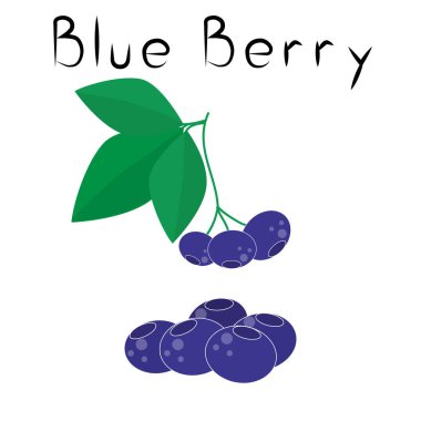 Acai çileği. Sağlıklı detoks doğal ürün. Organik diyet takviyesi meyvesi. Süper yiyecek, homeopati için böğürtlen. Çizgi film vektörü izole illüstrasyon