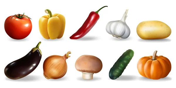 Realistic vegetables set — Stock Vector