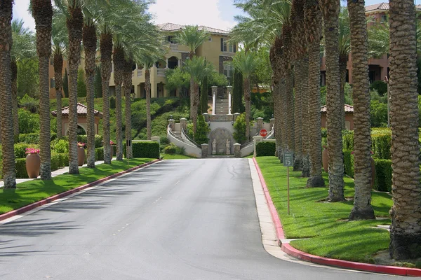 Palm bomen omzoomde straat in Lake Las Vegas — Stockfoto