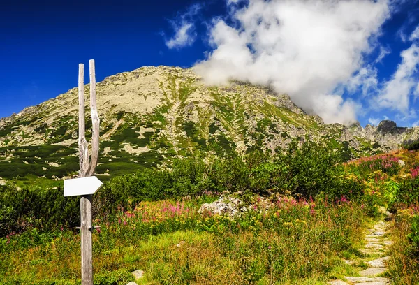 Dağ manzarası — Stok fotoğraf