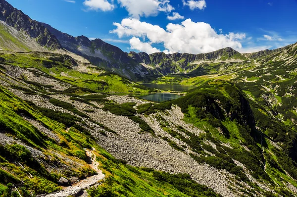 Lake in the mountains — Stock Photo, Image