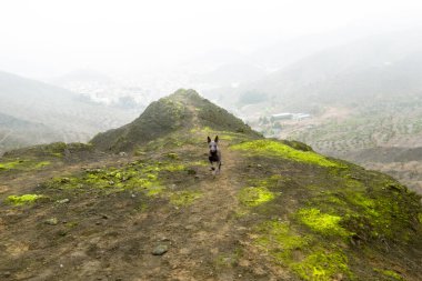 Parktaki Perulu tüysüz köpek. And Dağları.