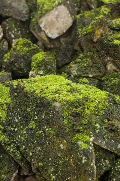 Obrázek Mlhavé Hory Zelený Kopec Plný Mechu — Stock fotografie